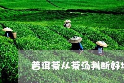 普洱茶从茶汤判断好坏/2023080376136