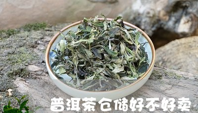 普洱茶仓储好不好卖/2023120592504