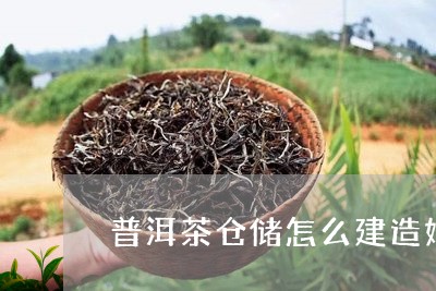 普洱茶仓储怎么建造好的/2023082935253