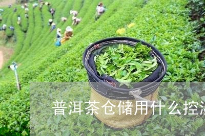 普洱茶仓储用什么控湿/2023062193815