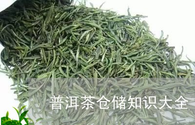 普洱茶仓储知识大全/2023070894936