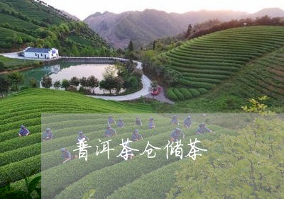 普洱茶仓储茶/2023042843449