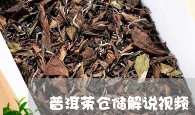 普洱茶仓储解说视频/2023120570705