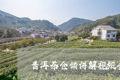 普洱茶仓储讲解视频全集/2023081772057