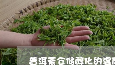 普洱茶仓储醇化的温度/2023100871583