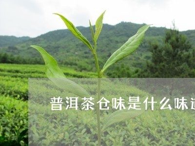 普洱茶仓味是什么味道/2023061993718