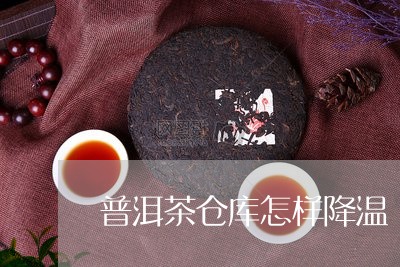 普洱茶仓库怎样降温/2023121649593