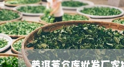 普洱茶仓库批发厂家地址/2023120719592