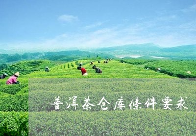 普洱茶仓库条件要求/2023071089703