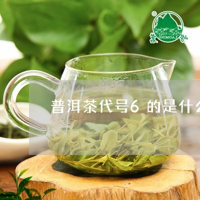 普洱茶代号6的是什么茶厂/2023081510592