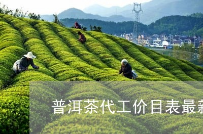 普洱茶代工价目表最新消息/2023082990836