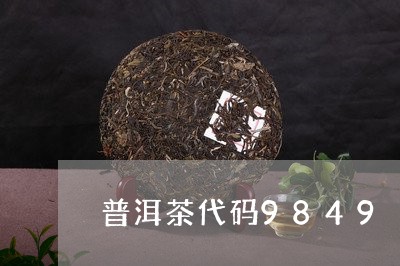 普洱茶代码9849/2023070947261