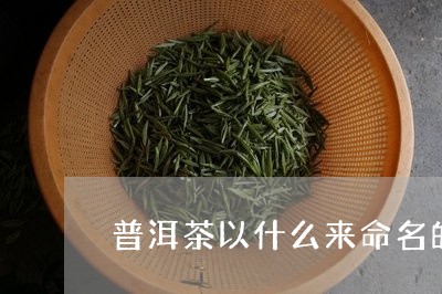 普洱茶以什么来命名的茶/2023121609371