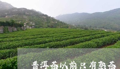 普洱茶以前只有熟茶/2023070967373