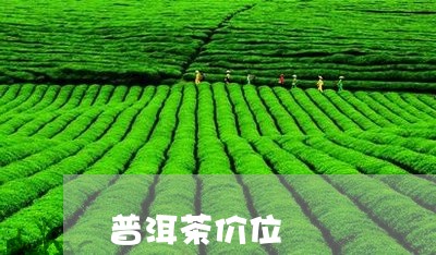 普洱茶价位/2023090605925