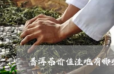 普洱茶价值洼地有哪些/2023100515037