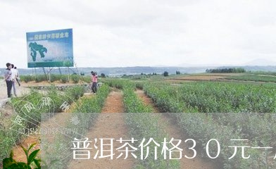 普洱茶价格30元一斤/2023092894068