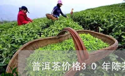 普洱茶价格30年陈茶/2023062866414