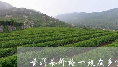 普洱茶价格一般在多少/2023072386261