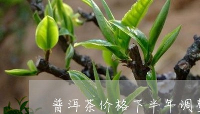 普洱茶价格下半年调整了吗/2023110683183