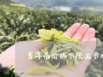 普洱茶价格下跌正常吗/2023062835958