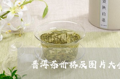 普洱茶价格及图片大全/2023062469481