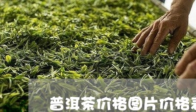 普洱茶价格图片价格表/2023092736150