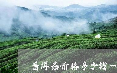 普洱茶价格多少钱一斤正常/2023110652846