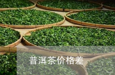 普洱茶价格差/2023042727668