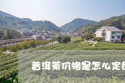 普洱茶价格是怎么定的/2023062441616