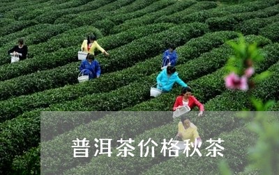 普洱茶价格秋茶/2023121669580