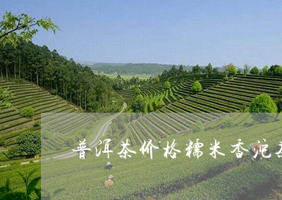 普洱茶价格糯米香沱茶/2023080121402