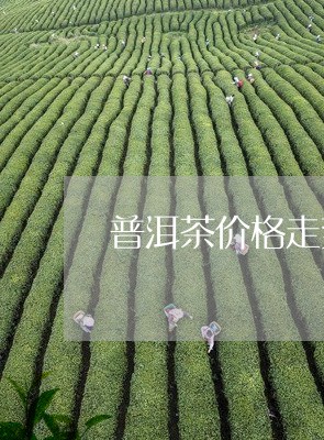 普洱茶价格走势表最新图片/2023112573817