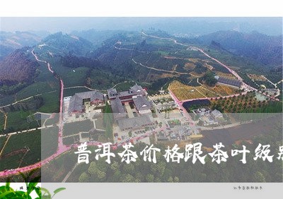 普洱茶价格跟茶叶级别/2023092516159