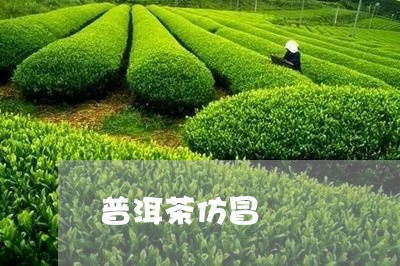 普洱茶仿冒/2023090502837