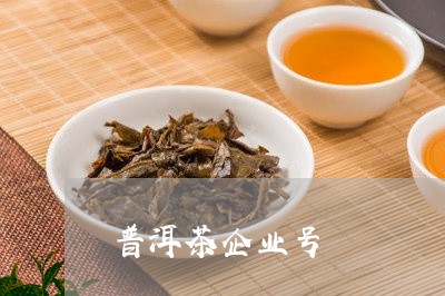 普洱茶企业号/2023042626339