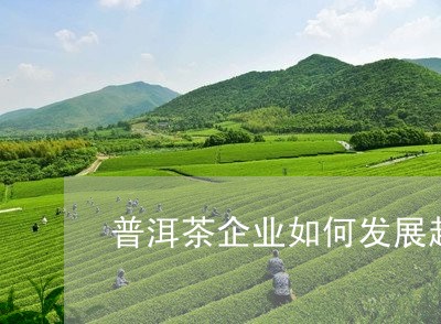 普洱茶企业如何发展起来/2023120751813