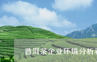 普洱茶企业环境分析表格/2023101774748