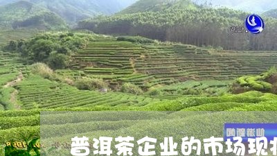 普洱茶企业的市场现状/2023062394036