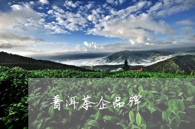 普洱茶企品牌/2023042808612