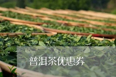 普洱茶优惠券/2023042937637