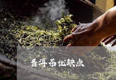 普洱茶优缺点/2023042969444