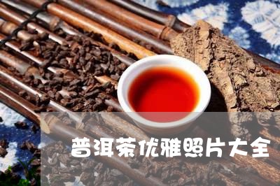 普洱茶优雅照片大全/2023082984058