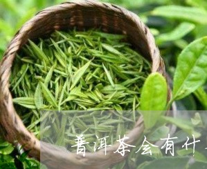 普洱茶会有什么味道的茶/2023110686260