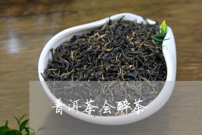 普洱茶会醉茶/2023042852276