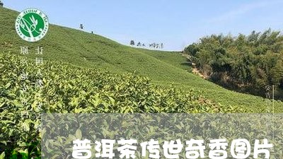 普洱茶传世奇香图片/2023112517262