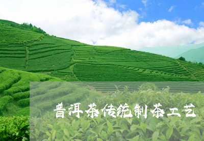 普洱茶传统制茶工艺/2023070915958