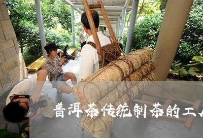 普洱茶传统制茶的工序/2023100777360