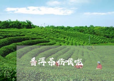 普洱茶伤喉咙/2023042786798