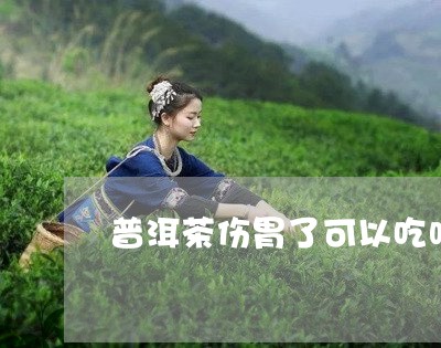 普洱茶伤胃了可以吃吗/2023062272704